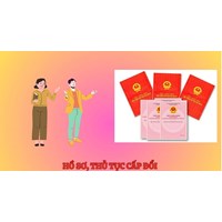 Hồ sơ cần nộp khi thực hiện cấp lại sổ đỏ, sổ hồng bị mất ?