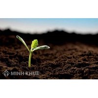 Các trường hợp chấm dứt việc góp vốn bằng quyền sử dụng đất?