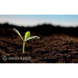 Các trường hợp chấm dứt việc góp vốn bằng quyền sử dụng đất?