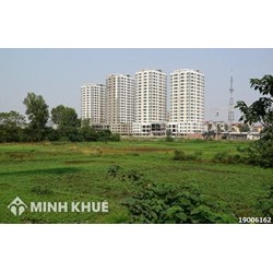 Khi nào phải điều chỉnh khung giá đất? Nội dung, trình tự điều chỉnh khung giá đất?