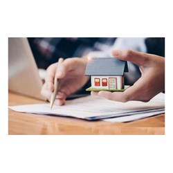 Căn cứ để giao đất, cho thuê đất, cho phép chuyển mục đích sử dụng đất theo Luật đất đai 2024?