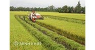 Điều kiện nhận chuyển nhượng, nhận góp vốn, thuê quyền sử dụng đất nông nghiệp để thực hiện dự án đầu tư sản xuất, kinh doanh phi nông nghiệp?