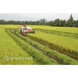 Điều kiện nhận chuyển nhượng, nhận góp vốn, thuê quyền sử dụng đất nông nghiệp để thực hiện dự án đầu tư sản xuất, kinh doanh phi nông nghiệp?