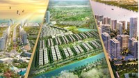 Chuyển nhượng đất gắn liền với dự án như thế nào?
