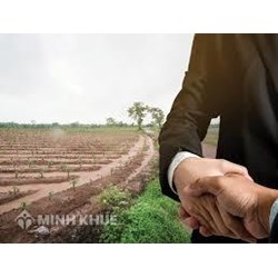 Sử dụng đất làm mặt bằng sản xuất hoặc kinh doanh dịch vụ phi nông nghiệp do được bồi thường, hỗ trợ khi Nhà nước thu hồi đất nông nghiệp của hộ gia đình, cá nhân trước ngày 01/10/2009 theo quy định nào ?