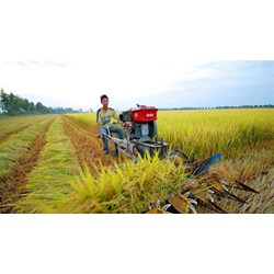 Thủ tục chuyển đổi đất nông nghiệp giữa các cá nhân, hộ gia đình