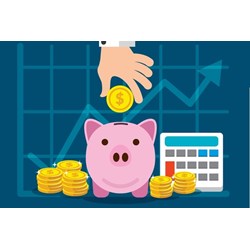 Thẩm quyền sửa đổi dự án ngân sách của Nghị viện trong chính thể đại nghị