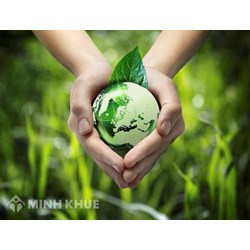 Trình tự, thủ tục cung cấp thông tin môi trường theo yêu cầu của tổ chức, cá nhân