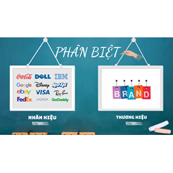 Phân biệt giữa nhãn hiệu và thương hiệu kèm ví dụ chi tiết