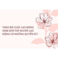 Theo Bộ luật Lao động năm 2019 thì người lao động có những quyền gì ?