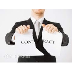 Chấm dứt hợp đồng khi người lao động cung cấp thông tin không trung thực?