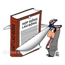 Khi hợp đồng lao động bị Tòa án tuyên bố vô hiệu toàn bộ thì quyền, nghĩa vụ và lợi ích của người lao động được giải quyết như thế nào ?