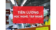 Trong thời gian học nghề, tập nghề, người lao động có được trả lương hay không?