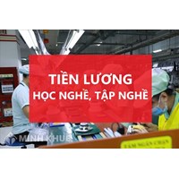 Trong thời gian học nghề, tập nghề, người lao động có được trả lương hay không?