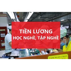 Trong thời gian học nghề, tập nghề, người lao động có được trả lương hay không?