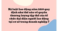 Bộ luật Lao động năm 2019 quy định như thế nào về quyền thương lượng tập thể của tổ chức đại diện người lao động tại cơ sở trong doanh nghiệp ?