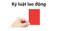 Công ty có quyền áp dụng nhiều hình thức xử lý kỷ luật lao động hay không?