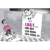 Có bao nhiêu hình thức xử lý kỷ luật lao động? Các bước xử lý?