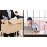 Quyền tạm đình chỉ công việc của người sử dụng lao động kèm Ví dụ