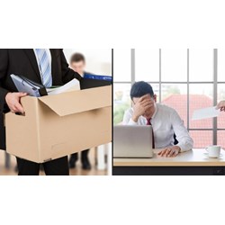 Quyền tạm đình chỉ công việc của người sử dụng lao động kèm Ví dụ