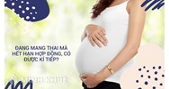 Xử lý hợp đồng lao động hết hạn khi đang mang thai hoặc nuôi con dưới 12 tháng tuổi?