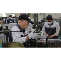 Người sử dụng lao động có bắt buộc phải sử dụng người lao động cao tuổi hay không ?