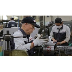 Người sử dụng lao động có bắt buộc phải sử dụng người lao động cao tuổi hay không ?