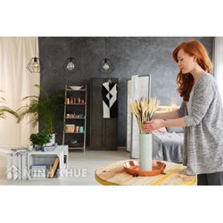 Người sử dụng lao động có nghĩa vụ gì khi sử dụng lao động là người giúp việc gia đình?