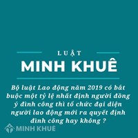 Bộ luật Lao động năm 2019 có bắt buộc một tỷ lệ nhất định người đồng ý đình công thì tổ chức đại diện người lao động mới ra quyết định đình công hay không?