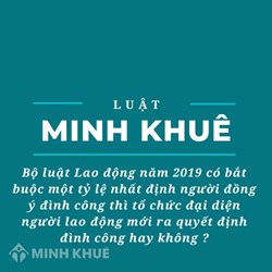 Bộ luật Lao động năm 2019 có bắt buộc một tỷ lệ nhất định người đồng ý đình công thì tổ chức đại diện người lao động mới ra quyết định đình công hay không?
