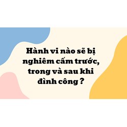 Hành vi nào sẽ bị nghiêm cấm trước, trong và sau khi đình công ?