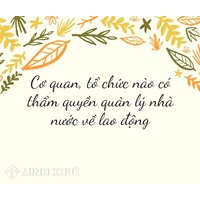 Cơ quan, tổ chức nào có thẩm quyền quản lý nhà nước về lao động?
