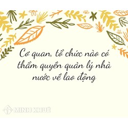 Cơ quan, tổ chức nào có thẩm quyền quản lý nhà nước về lao động?