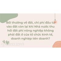Bồi thường về đất, chi phí đầu tư vào đất còn lại khi Nhà nước thu hồi đất phi nông nghiệp không phải đất ở của tổ chức kình tế, doanh nghiệp liên doanh ?