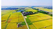 Bị thu hồi dưới 30% diện tích dất nông nghiệp được hỗ trợ những gì?
