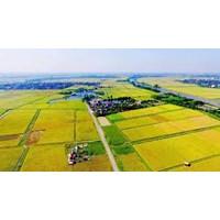 Bị thu hồi dưới 30% diện tích dất nông nghiệp được hỗ trợ những gì?
