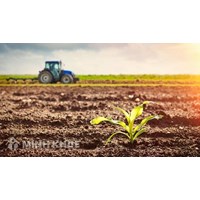 Trường hợp Nhà nước thu hồi đất nông nghiệp của hộ gia đình, cá nhân trực tiếp sản xuất nông nghiệp thì việc hỗ trợ đào tạo, chuyển đổi nghề và tìm kiếm việc làm thực hiện như thế nào ?