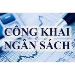 Quy định về đối tượng và phạm vi thực hiện công khai ngân sách