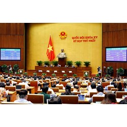 Nhiệm vụ, quyền hạn của bộ, cơ quan ngang bộ, cơ quan thuộc Chính phủ và cơ quan khác ở trung ương