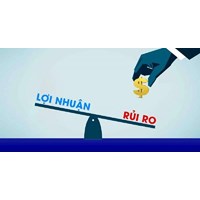 Những rủi ro trên thị trường chứng khoán?