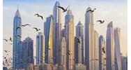 Tìm hiểu về lịch sử văn minh Ả Rập? Cơ sở hình thành và Điều kiện phát triển