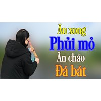 Ăn cháo đá bát hay ăn cháo đái bát nghĩa là gì ?