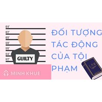 Đối tượng tác động của tội phạm là quan hệ xã hội được luật hình sự bảo vệ, bị hành vi phạm tội xâm hại?