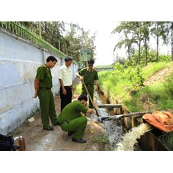 Các tội phạm về môi trường áp dụng đối với pháp nhân thương mại?