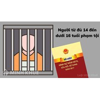 Người từ đủ 14 đến dưới 16 tuổi phải chịu trách nhiệm hình sự với bao nhiêu tội danh?