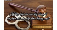 Khẳng định nào sau đây đúng về tội phạm đối với pháp nhân thương mại?