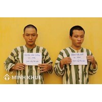 Vấn đề trách nhiệm hình sự đối với người nước ngoài được quy định như thế nào trong Bộ luật Hình sự năm 2015 ?