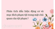 Phân tích dấu hiệu động cơ và mục đích phạm tội trong mặt chủ quan của tội phạm?