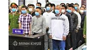 Phân tích các căn cứ xác định đồng phạm trong Bộ Luật hình sự?