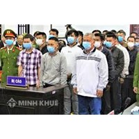 Phân tích các căn cứ xác định đồng phạm trong Bộ Luật hình sự?